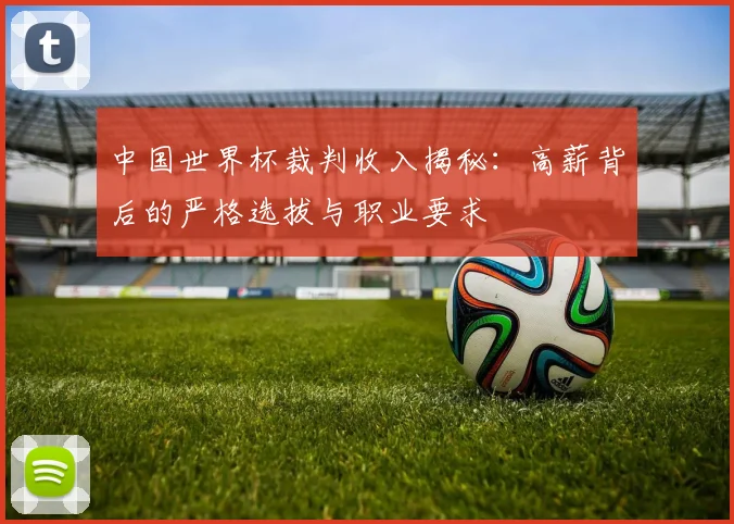 中国世界杯裁判收入揭秘：高薪背后的严格选拔与职业要求