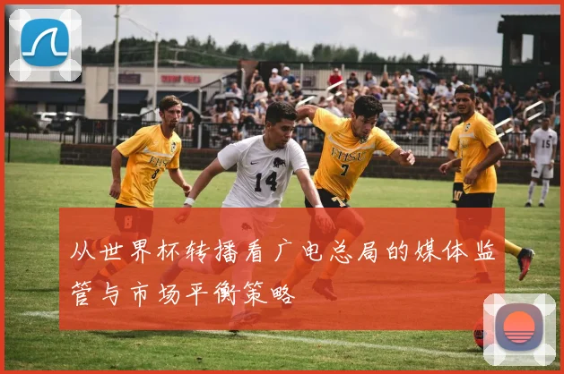 从世界杯转播看广电总局的媒体监管与市场平衡策略